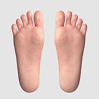 feet